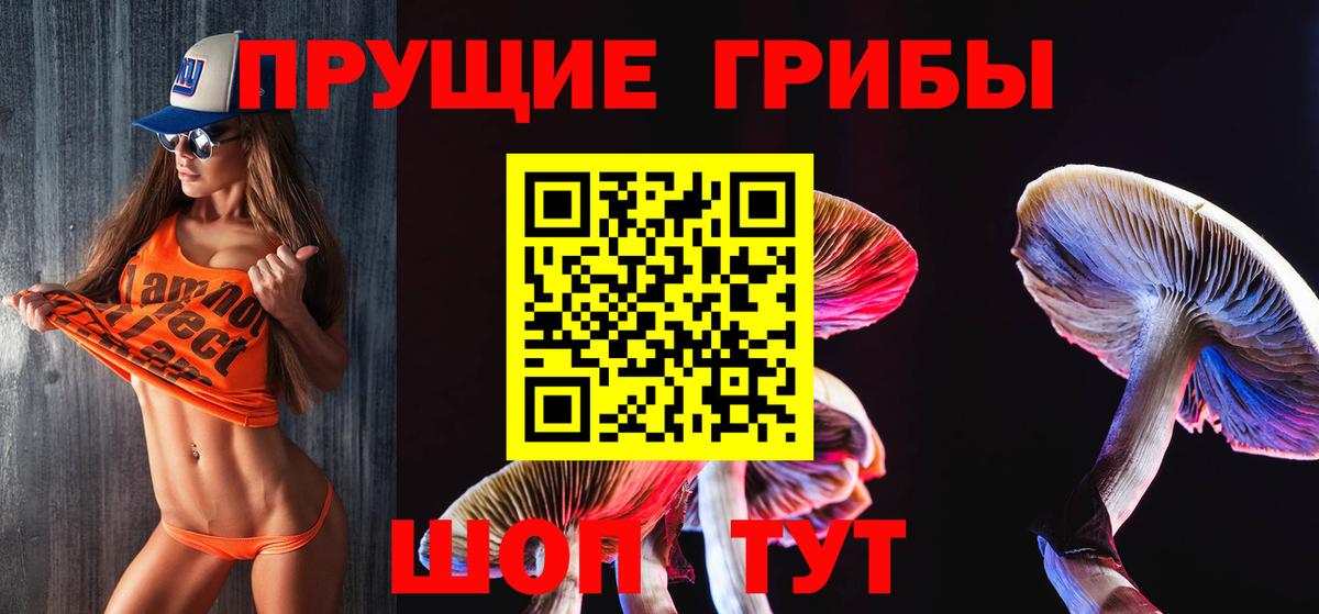 Псилоцибиновые грибы Cubensis  Псилоцибиновые грибы MAGIC MUSHROOMS  Вход с VPN  купить  цена  Ефремов 
