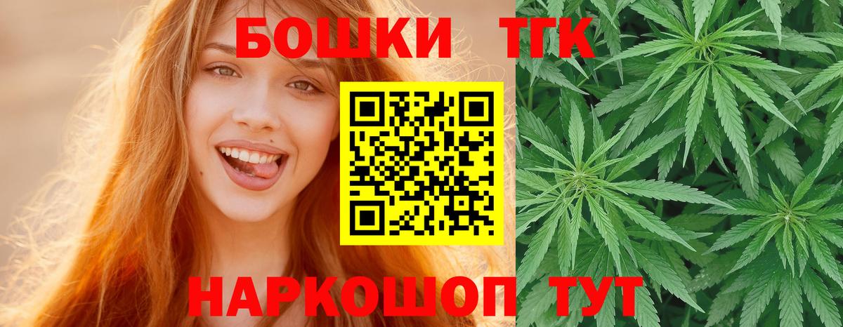 Бошки Шишки план Ефремов